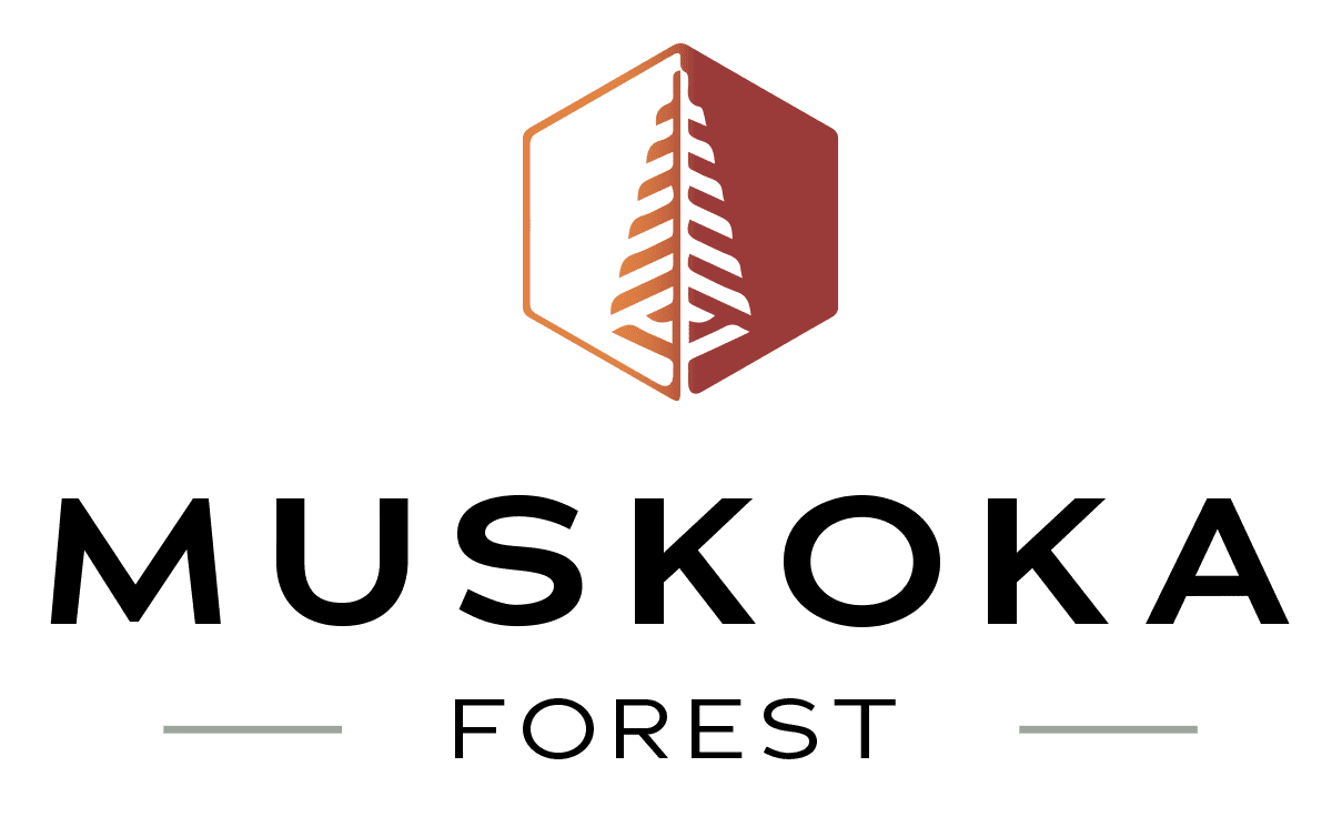 MUSKOKA FOREST Phase 1 header image